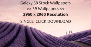 galaxy s8 wallpapers • Download Samsung Galaxy S8 Stock Wallpapers (39 Walls) (QHD)