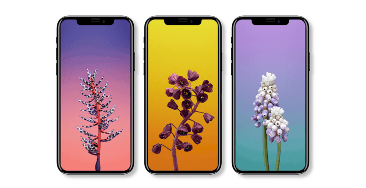 ios-11-stock-wallpapers