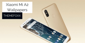 Mi A2 Wallpapers • Download Xiaomi Mi A2 Stock Wallpapers