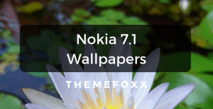 Nokia-7.1-Wallpapers