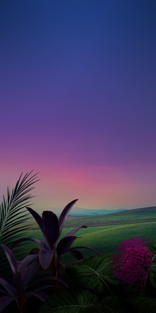 LG-Stylo-5-Stock-Wallpapers-10